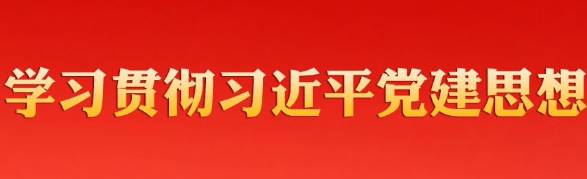 学习贯彻习近平党建思想